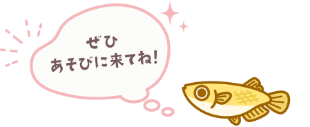 ぜひ会いに来てね!