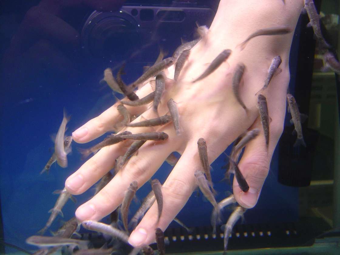 新さっぽろサンピアザ水族館【公式】
